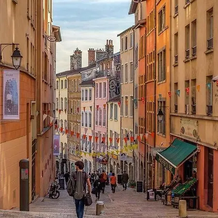 Joli Climatise Avec Terrasse - Centre Lyon
