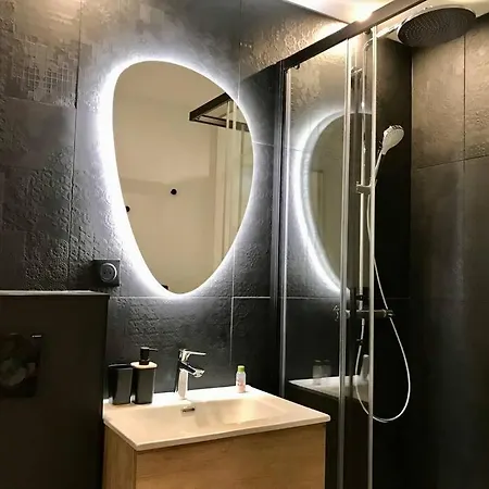 Joli Climatise Avec Terrasse - Centre * Lyon