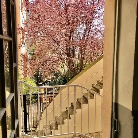 Joli Climatise Avec Terrasse - Centre 公寓