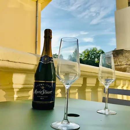 Joli Climatise Avec Terrasse - Centre * 里昂
